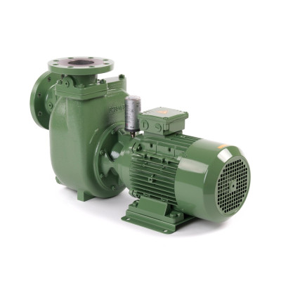 S 83 G31T+F+PS — Центробежные насосы от Victor Pumps