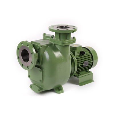 S105 G31T+F — Центробежные насосы от Victor Pumps