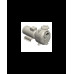 S161 G31T+PS — Центробежные насосы от Victor Pumps