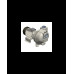 S121 G31T+PS — Центробежные насосы от Victor Pumps