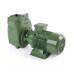 S 83 G31T — Центробежные насосы от Victor Pumps