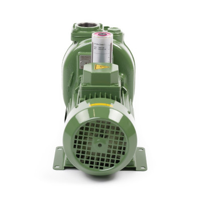 S 40 G31T+PS — Центробежные насосы от Victor Pumps