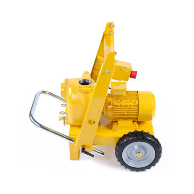 TA3 E S083 - 1383 001 — Насосы на тележке от Victor Pumps TA3 E S083 - 1383 001 — Насосы на тележке от Victor Pumps