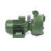 S 63 G31T+PS — Центробежные насосы от Victor Pumps