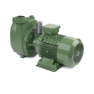 S 63 G31T+PS — Центробежные насосы от Victor Pumps