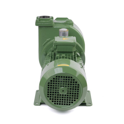 S 63 G31T+PS — Центробежные насосы от Victor Pumps
