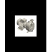 S 48+50 G31T+PS — Центробежные насосы от Victor Pumps
