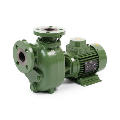 S 40 G31T+F — Центробежные насосы от Victor Pumps