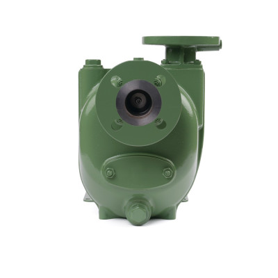 S 45+50 G31T+F — Центробежные насосы от Victor Pumps
