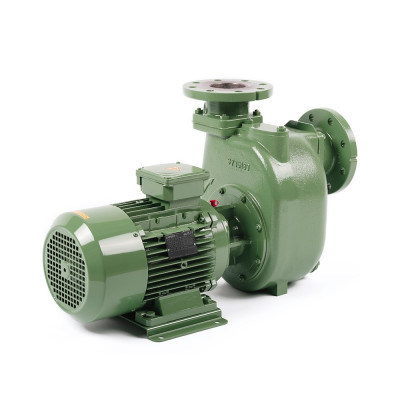 S 83 G31T+F — Центробежные насосы от Victor Pumps