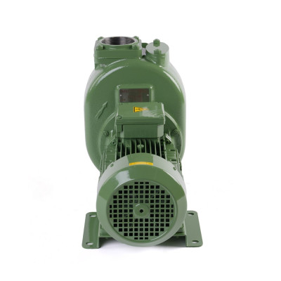 S 80 G31T — Центробежные насосы от Victor Pumps