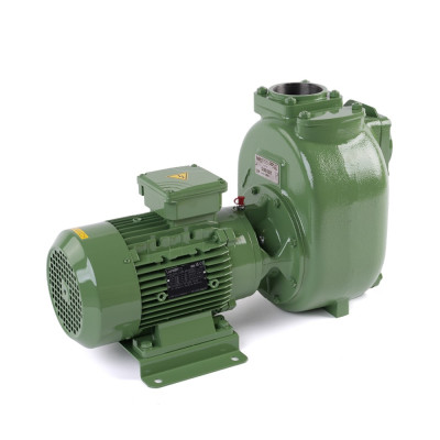 S 80 G31T — Центробежные насосы от Victor Pumps