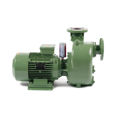 S 63 G31T+F+PS — Центробежные насосы от Victor Pumps