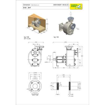 S 63 G31B+F — Центробежные насосы от Victor Pumps