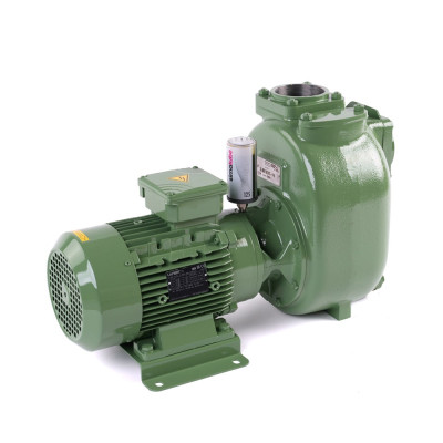 S 80 G31T+PS — Центробежные насосы от Victor Pumps
