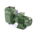 S 80 G31T+PS — Центробежные насосы от Victor Pumps