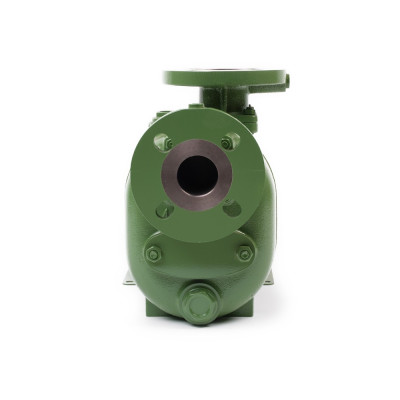 S 40 G31T+F+PS — Центробежные насосы от Victor Pumps