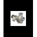S150 G31T+F — Центробежные насосы от Victor Pumps