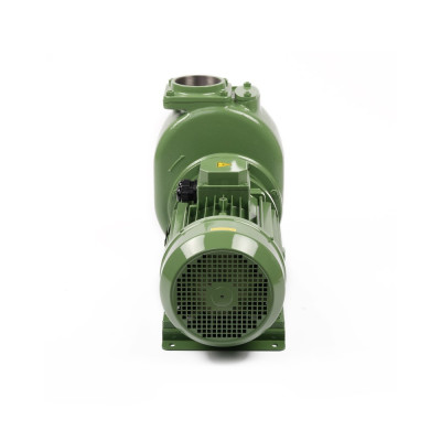 S100 G31T — Центробежные насосы от Victor Pumps