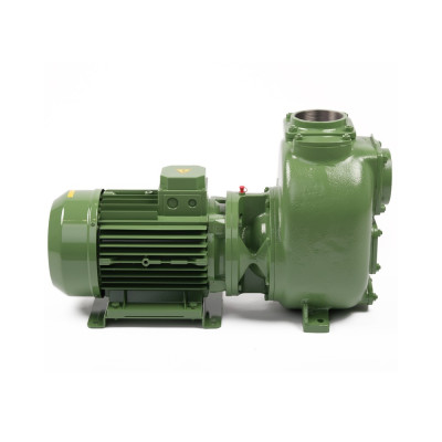 S100 G31T — Центробежные насосы от Victor Pumps
