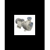 S 91 G31T+F — Центробежные насосы от Victor Pumps