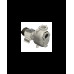 S150 G31T — Центробежные насосы от Victor Pumps