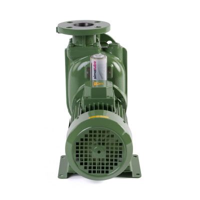 S 50 G31T+F+PS — Центробежные насосы от Victor Pumps