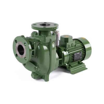 S 50 G31T+F+PS — Центробежные насосы от Victor Pumps