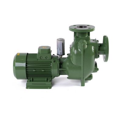 S 50 G31T+F+PS — Центробежные насосы от Victor Pumps