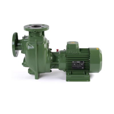 S 50 G31T+F — Центробежные насосы от Victor Pumps