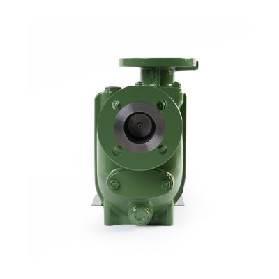 S 50 G31T+F — Центробежные насосы от Victor Pumps
