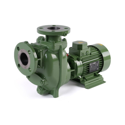 S 50 G31T+F — Центробежные насосы от Victor Pumps