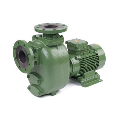 S 80 G31T+F — Центробежные насосы от Victor Pumps