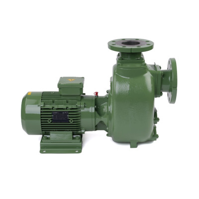 S 80 G31T+F — Центробежные насосы от Victor Pumps