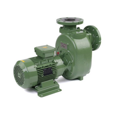 S 80 G31T+F — Центробежные насосы от Victor Pumps