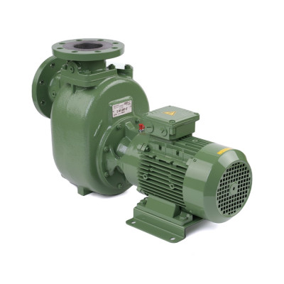 S 80 G31T+F — Центробежные насосы от Victor Pumps