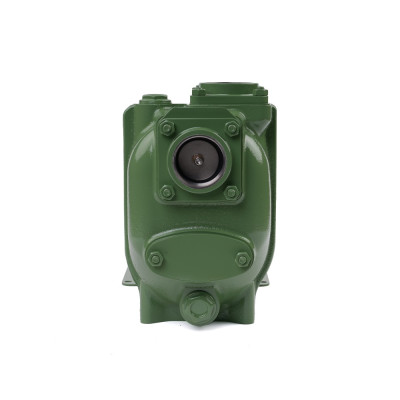 S 50 G31T+PS — Центробежные насосы от Victor Pumps
