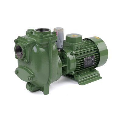 S 50 G31T+PS — Центробежные насосы от Victor Pumps
