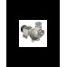 S121 G31T+F+PS — Центробежные насосы от Victor Pumps