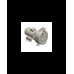 S 65 G31T — Центробежные насосы от Victor Pumps