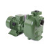 S 83 G31T+PS — Центробежные насосы от Victor Pumps