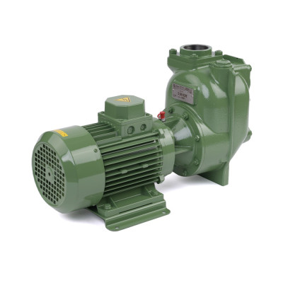 S 50 G31T — Центробежные насосы от Victor Pumps S 50 G31T — Центробежные насосы от Victor Pumps